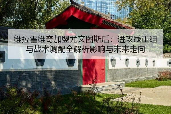 维拉霍维奇加盟尤文图斯后：进攻线重组与战术调配全解析影响与未来走向